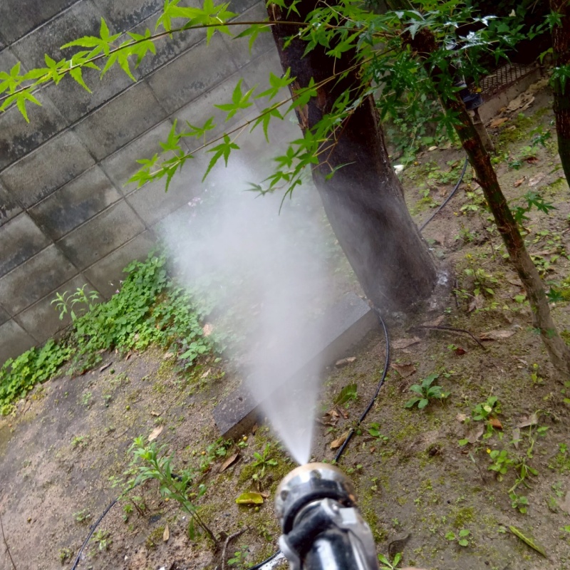 庭の草木にシロアリ駆除剤を散布