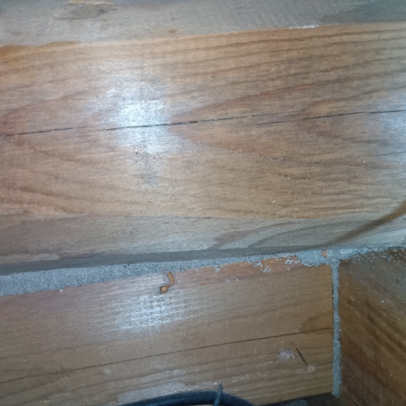 築年数30年のシロアリ駆除の施工事例（福岡県糸島市）