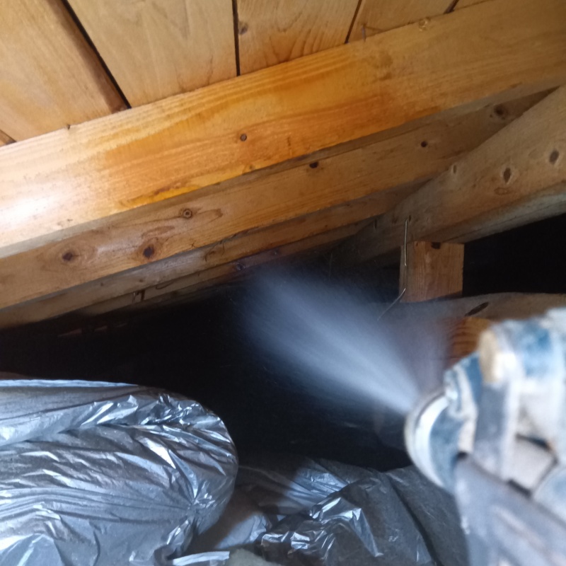 床下の木部にシロアリ駆除剤を散布