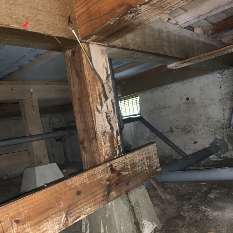 築年数35年のシロアリ駆除の施工事例（鹿児島県薩摩川内市永利町）
