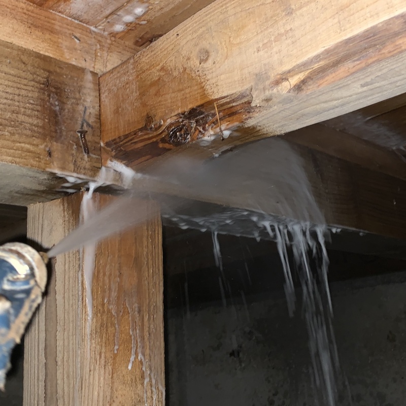 床下の木部にシロアリ駆除剤を散布