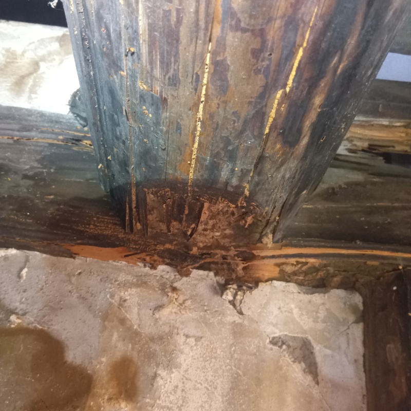 築年数66年のシロアリ駆除の施工事例（岐阜県岐阜市吹上町）
