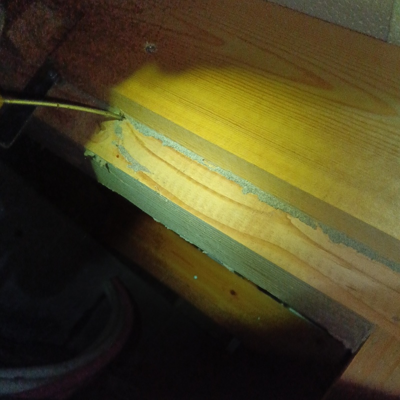 築年数13年のシロアリ駆除の施工事例（新潟県新潟市中央区網川原）