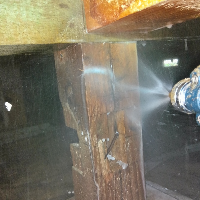 床下の木部にシロアリ駆除剤を散布