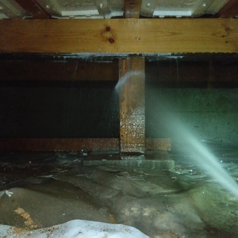 床下の木部にシロアリ駆除剤を散布