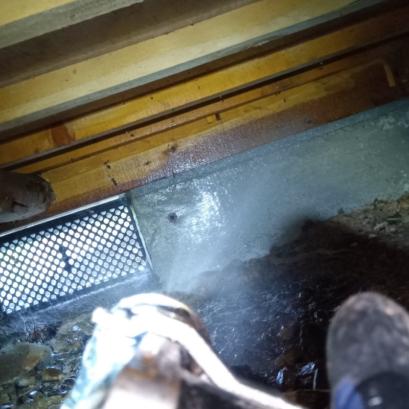 床下の基礎に防蟻剤を散布