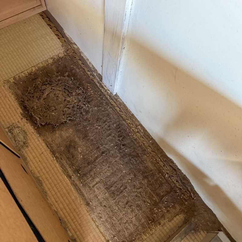 築年数70年のシロアリ駆除の施工事例（大分県宇佐市長洲）