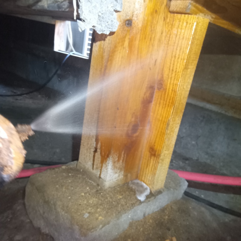 床下の木部にシロアリ駆除剤を散布