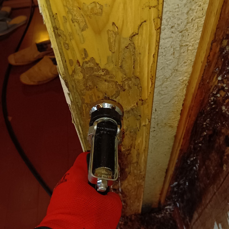 室内の柱の損傷部分にシロアリ駆除剤を注入