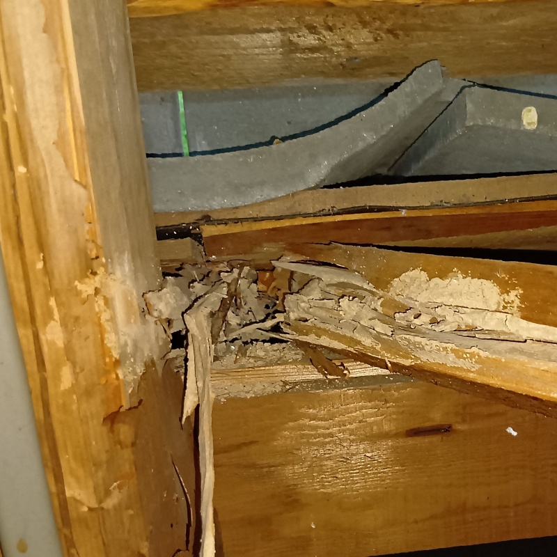 シロアリ駆除の施工事例（福岡県築上郡上毛町垂水）