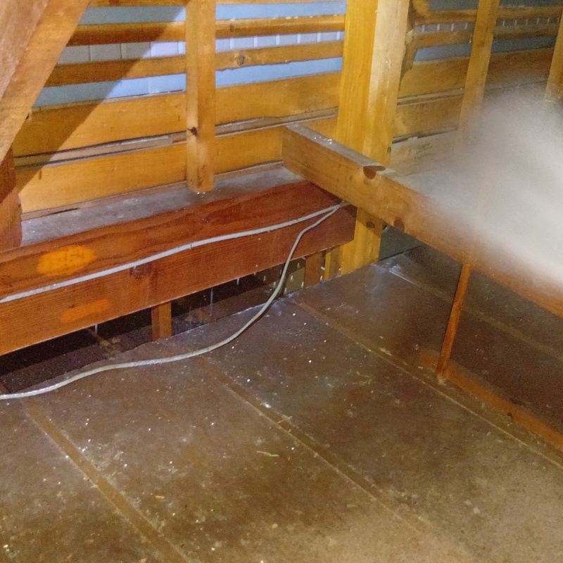 屋根裏の木部にシロアリ駆除剤を散布