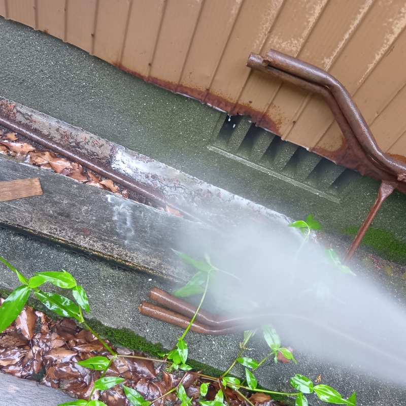 外壁の基礎にシロアリ駆除剤を散布
