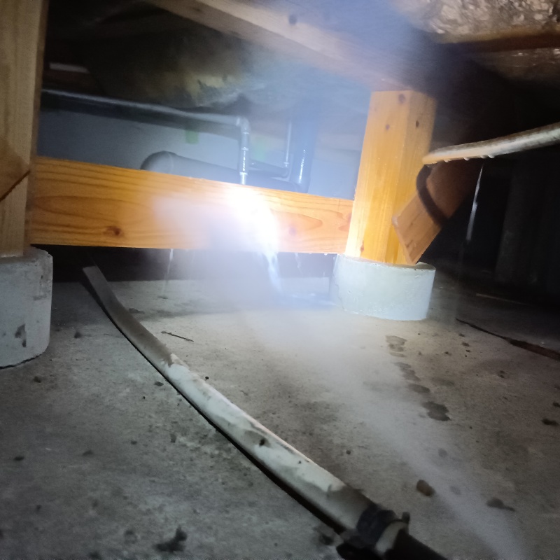 床下の木部に防蟻剤を散布