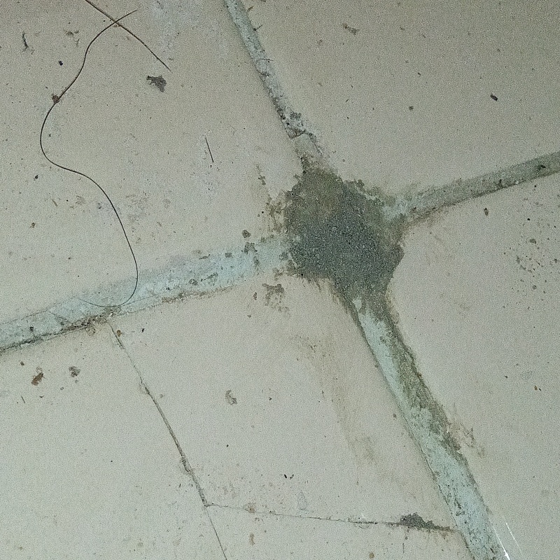 防蟻剤注入のための穴をモルタルで補修