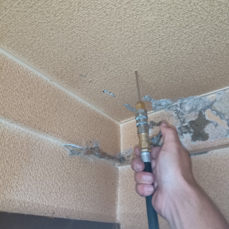 天井にシロアリ駆除剤を注入