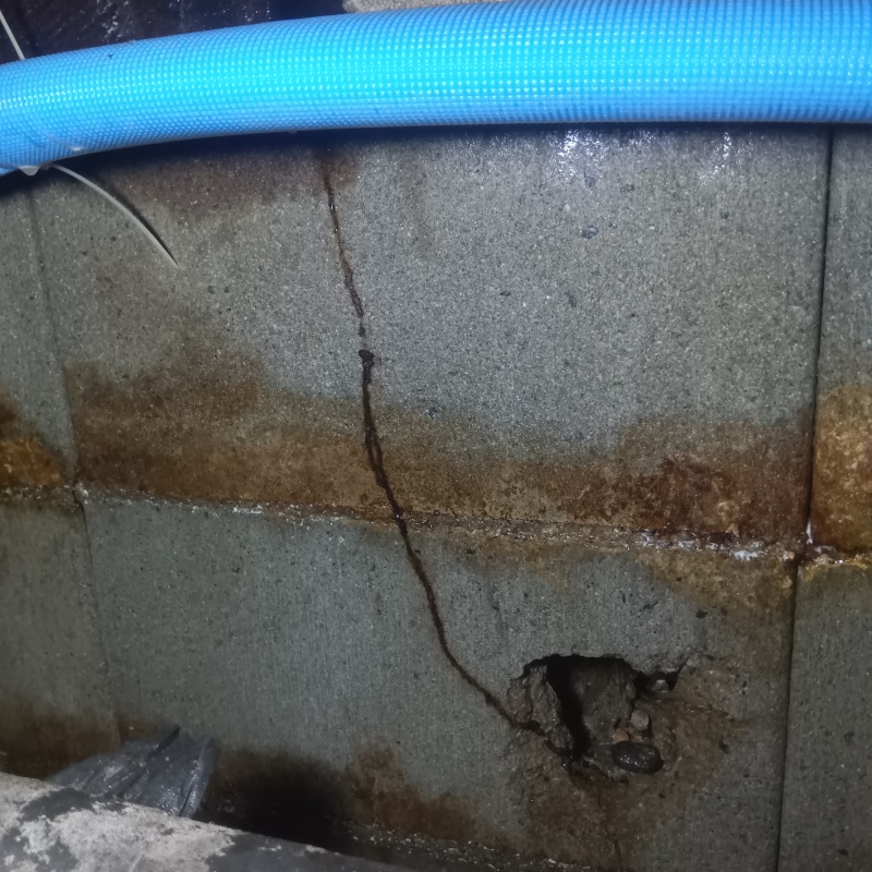 築年数50年のシロアリ駆除の施工事例（長野県佐久市）