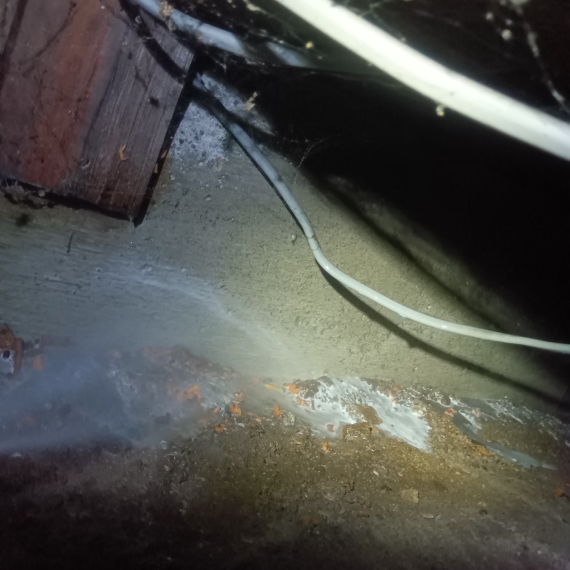 床下の土壌にシロアリ駆除剤を散布