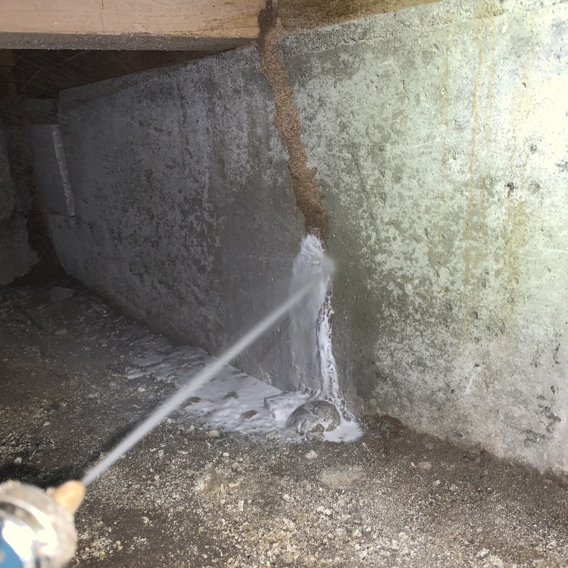 床下の基礎に作られた蟻道にシロアリ駆除剤を散布