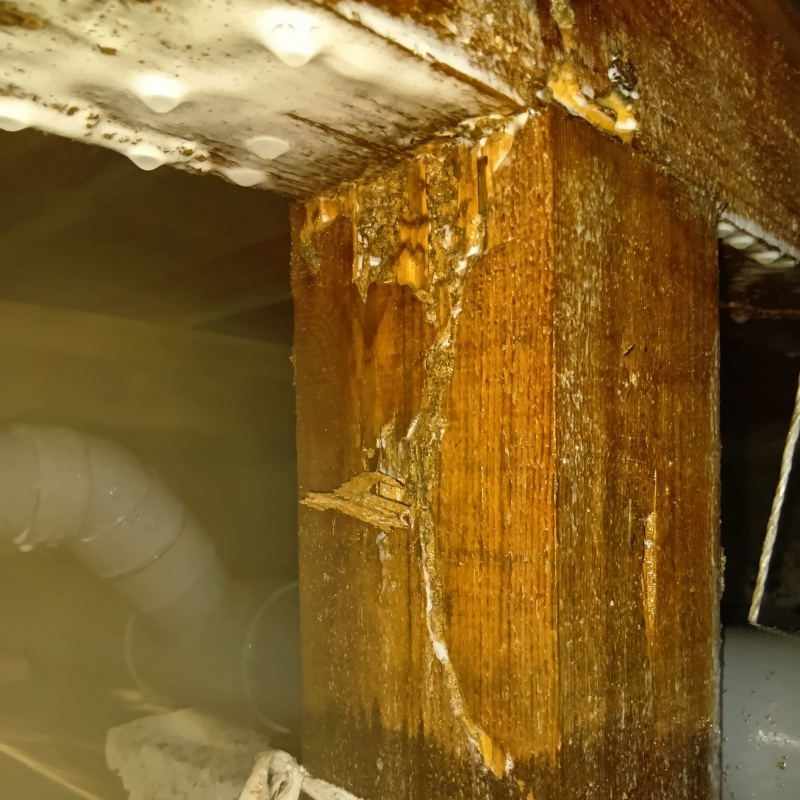 築年数50年のシロアリ駆除の施工事例（鹿児島県鹿児島市下福元町）
