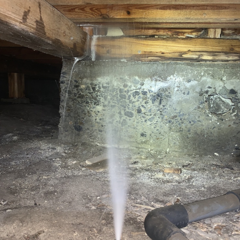 床下の基礎にシロアリ駆除剤を散布