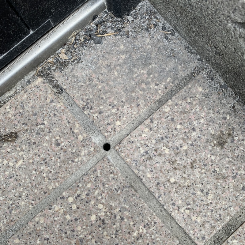 玄関床タイルにシロアリ駆除剤注入のために開口