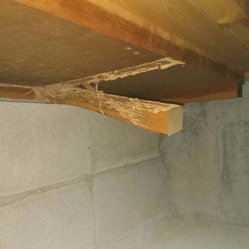 築年数20年のシロアリ駆除の施工事例（長崎県大村市赤佐古町）
