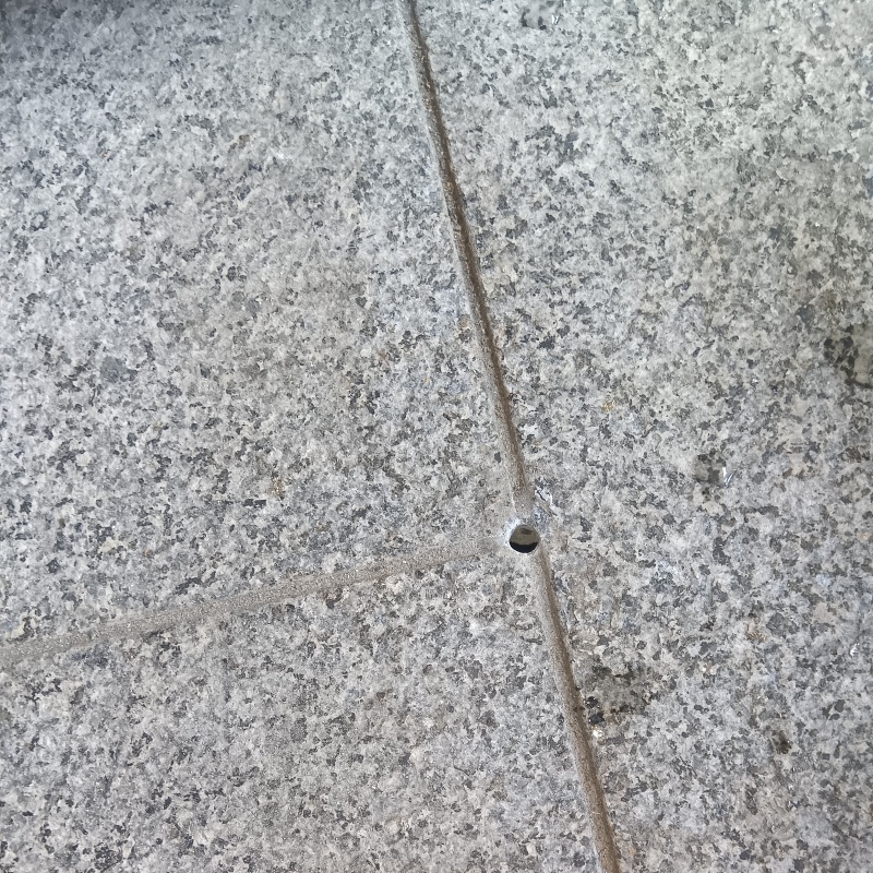 玄関床にシロアリ駆除剤注入のために開口