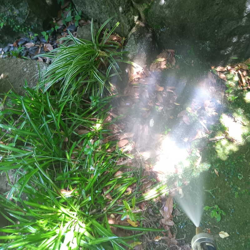 庭の草木・土壌にシロアリ駆除剤を散布