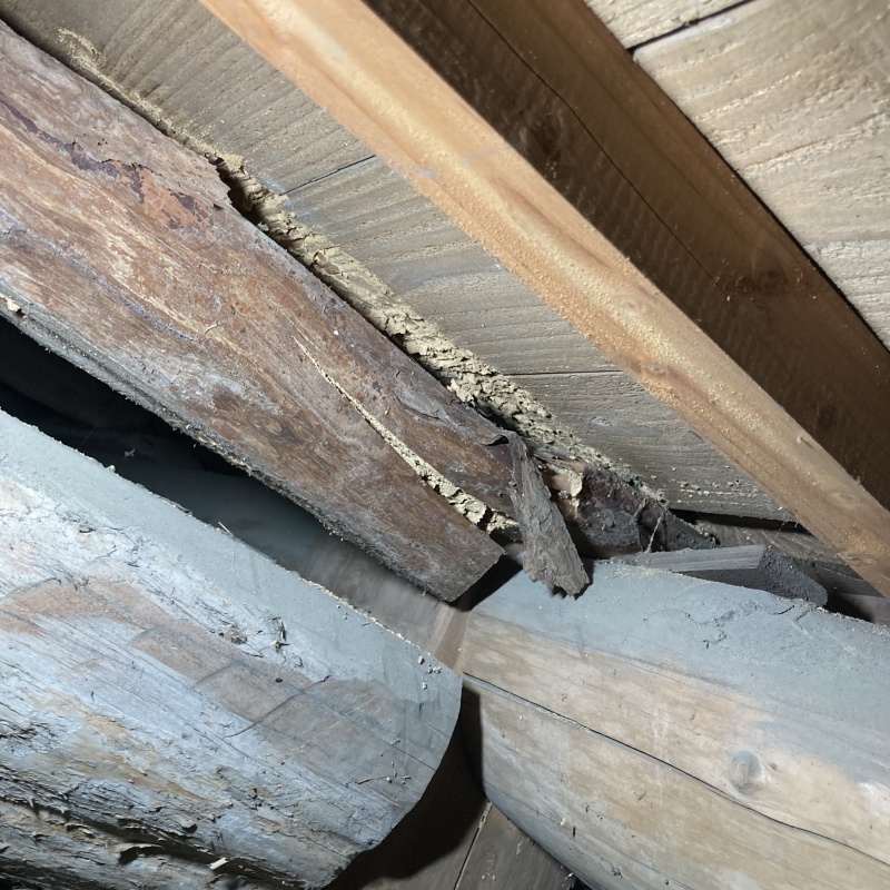 築年数50年のシロアリ駆除の施工事例（岐阜県羽島市足近町北宿）