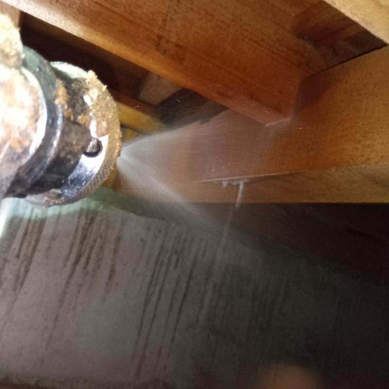 床下の木部にシロアリ駆除剤を散布