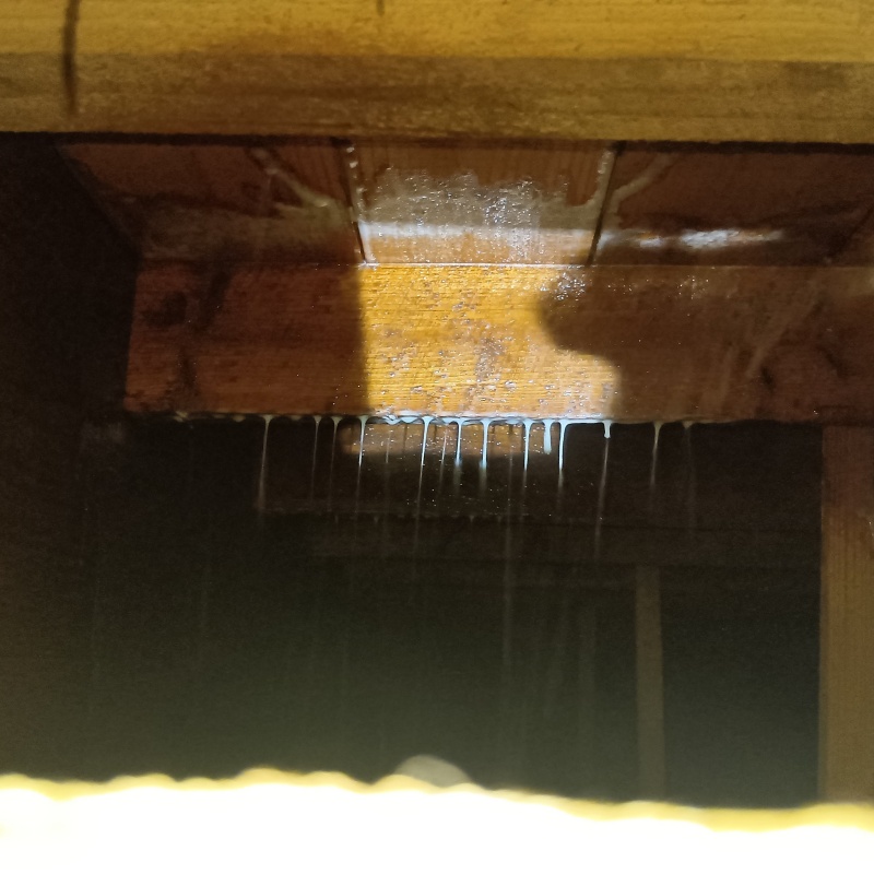 床下の木部にシロアリ駆除剤を散布