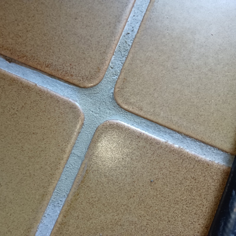 玄関床にシロアリ駆除剤を注入したあとの様子