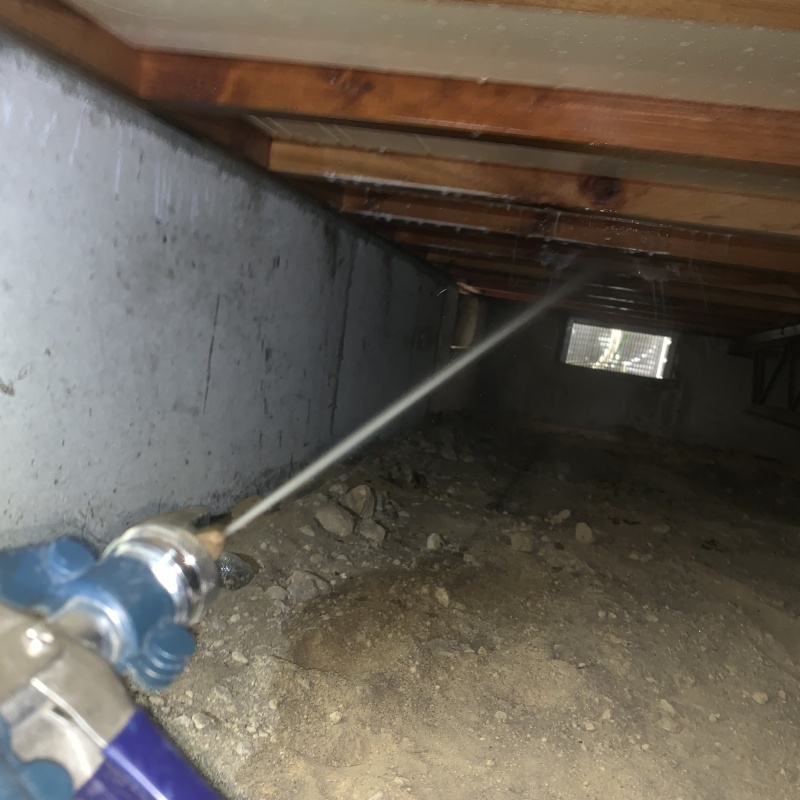 床下の木材にシロアリ駆除剤を散布する様子