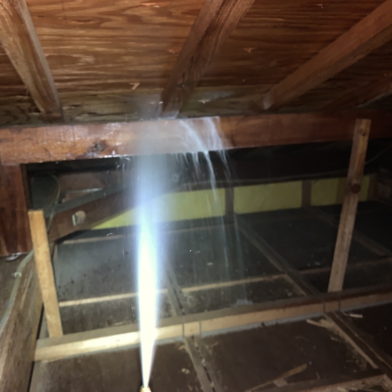 屋根裏の木材にシロアリ駆除剤を散布する様子