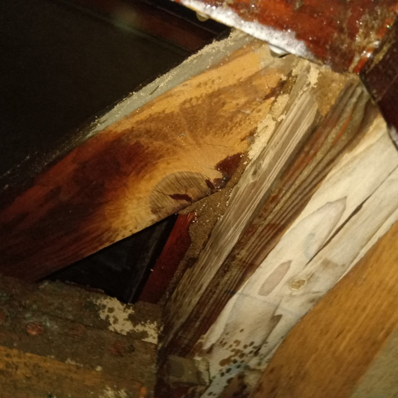 築年数40年のシロアリ駆除の施工事例（佐賀県鳥栖市）