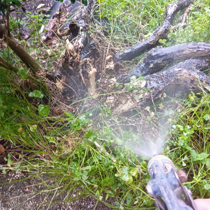 築年数38年のシロアリ駆除の施工事例（長崎県佐世保市有福町）