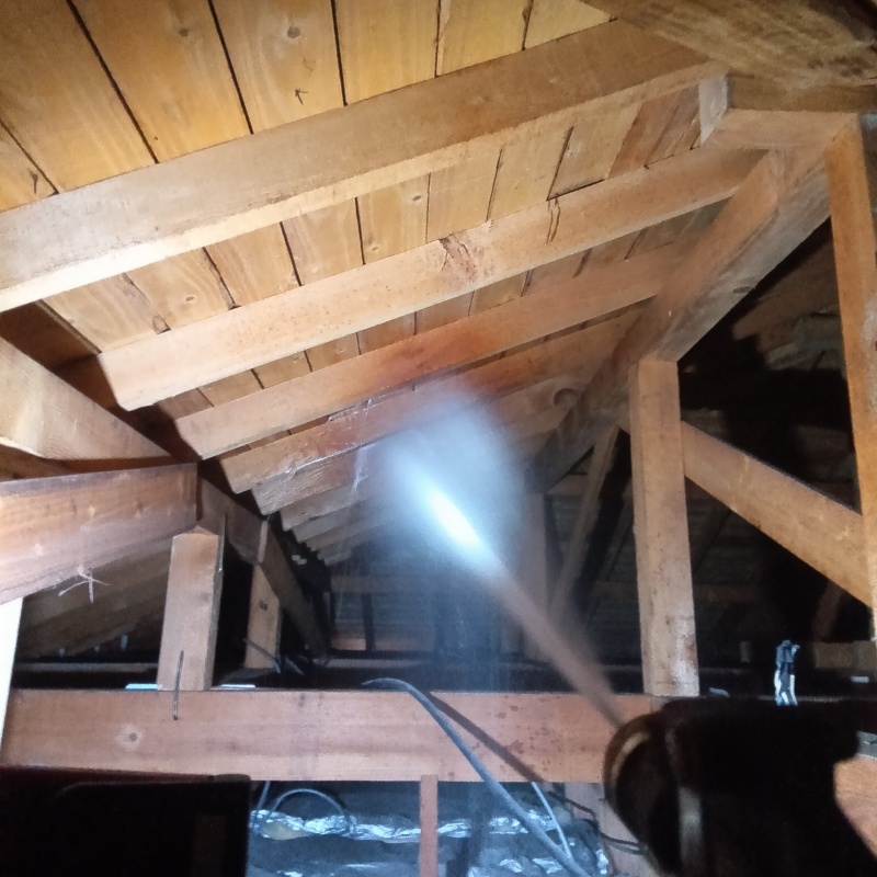 屋根裏の木材にシロアリ駆除剤を散布する様子