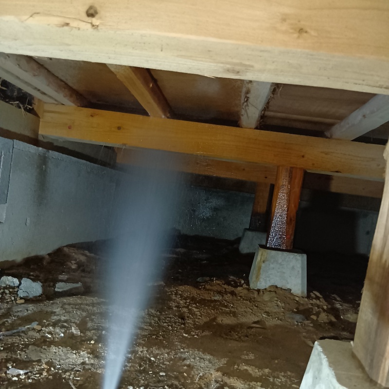 床下の木材にシロアリ駆除剤を散布する様子