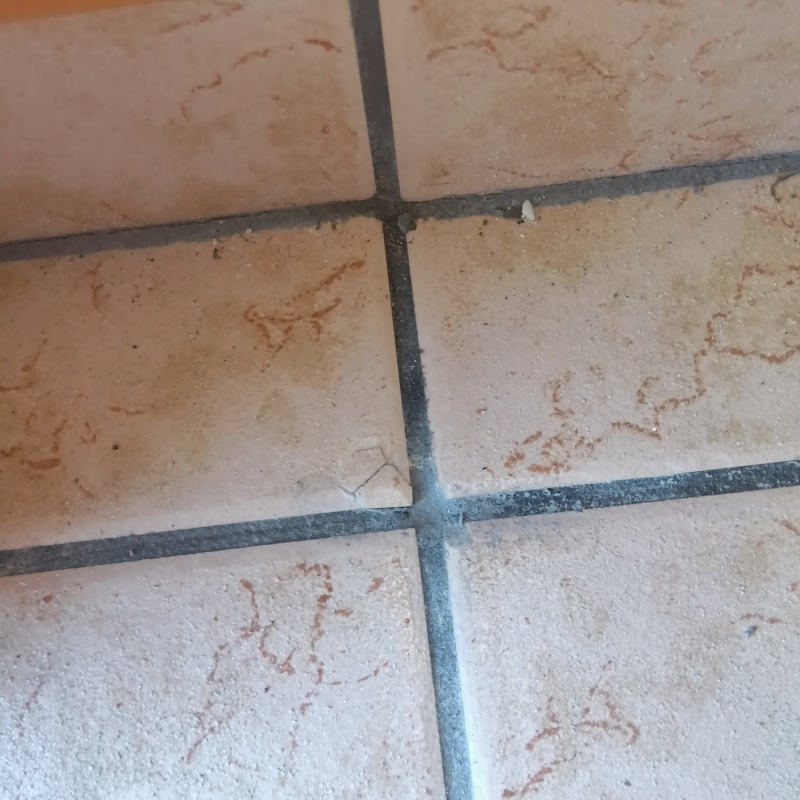 穿孔処理の穴をふさいだ様子