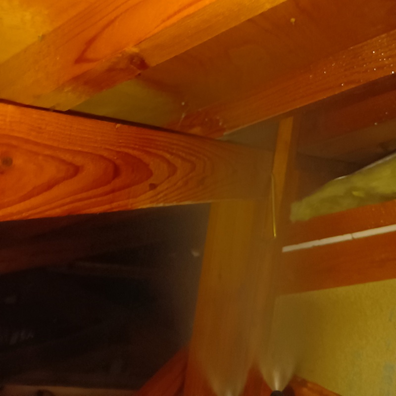 床下の木材にシロアリ駆除剤を散布する様子