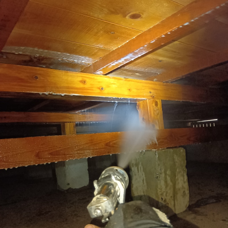 床下の木材にシロアリ駆除剤を散布する様子