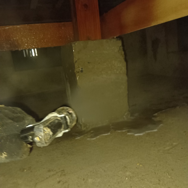 床下の基礎部分にシロアリ駆除剤を散布する様子