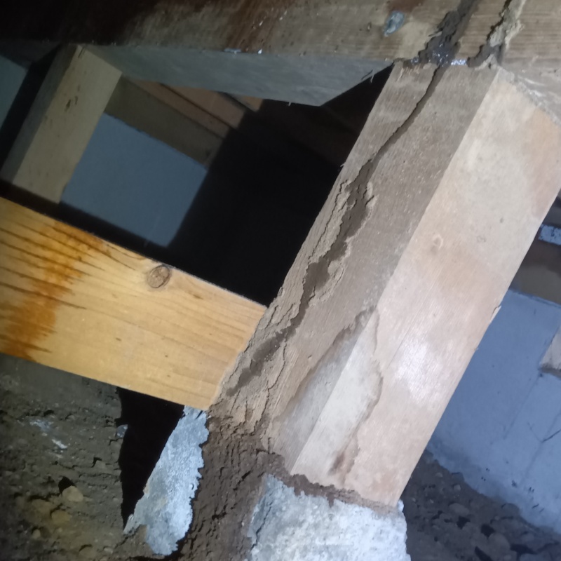 シロアリ駆除の施工事例（埼玉県所沢市上安松）