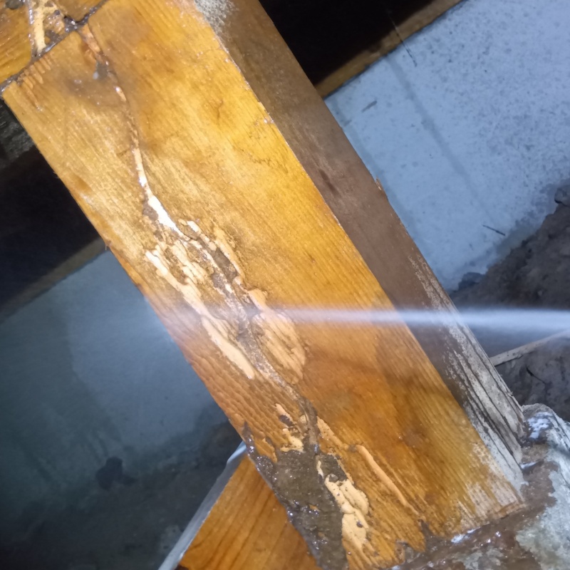 床下の木材にシロアリ駆除剤を散布する様子