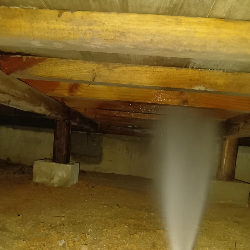 床下の木材にシロアリ駆除剤を散布する様子