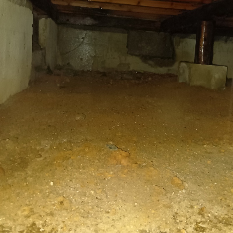 床下の土壌にシロアリ駆除剤を散布した様子