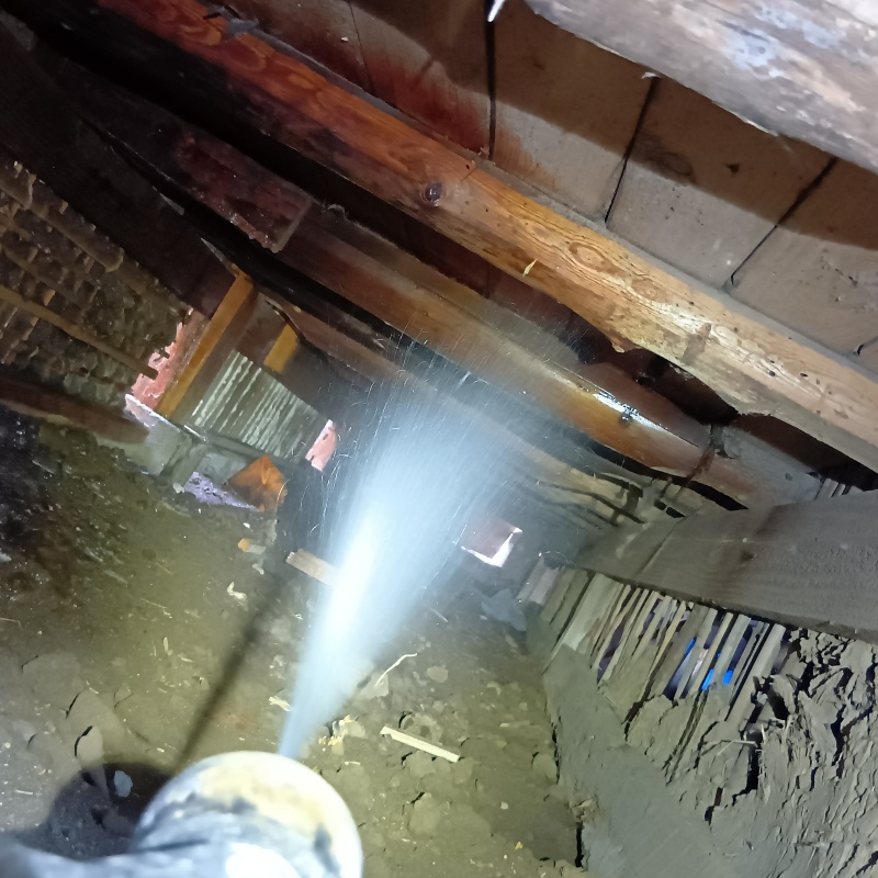 床下の木材にシロアリ駆除剤を散布する様子