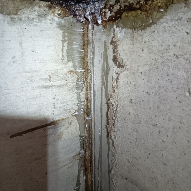 築年数50年のシロアリ駆除の施工事例（山形県西村山郡河北町岩木）