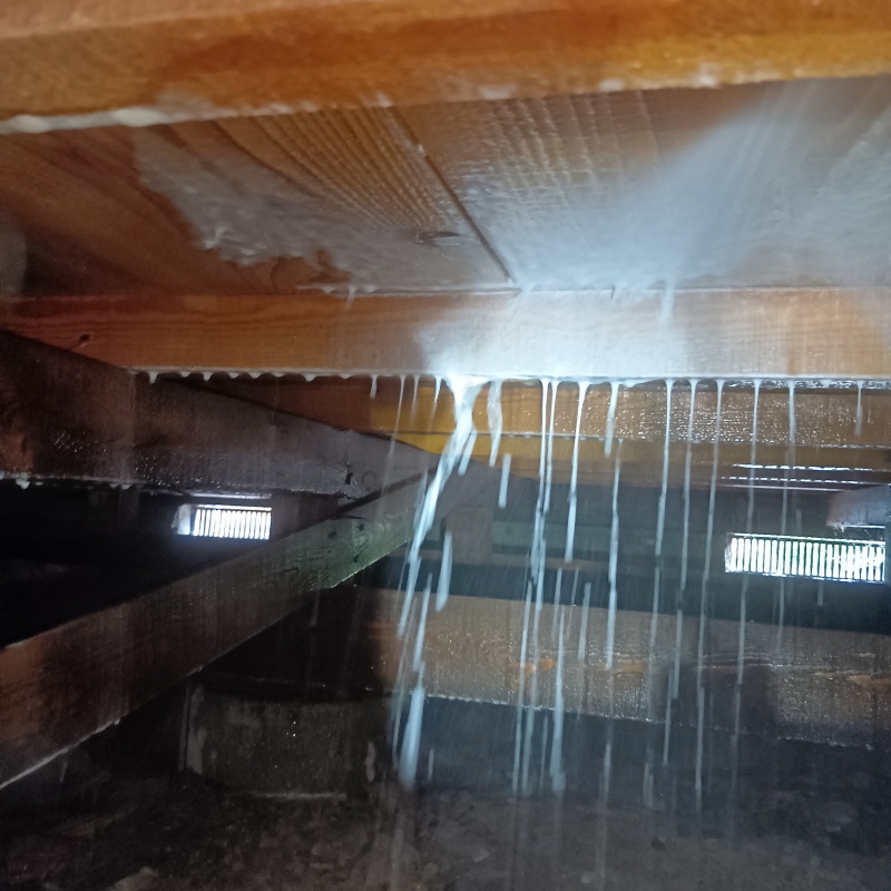 床下の木材にシロアリ駆除剤を散布する様子