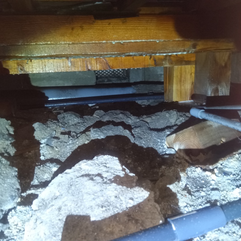 床下の木材にシロアリ駆除剤を散布した様子